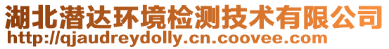 湖北潛達環(huán)境檢測技術(shù)有限公司