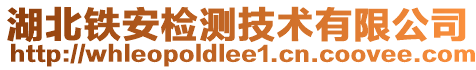 湖北鐵安檢測(cè)技術(shù)有限公司