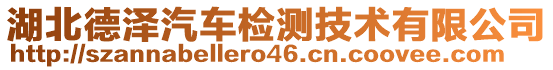 湖北德澤汽車(chē)檢測(cè)技術(shù)有限公司