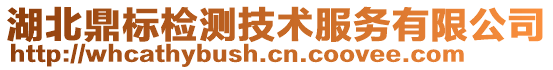 湖北鼎標(biāo)檢測(cè)技術(shù)服務(wù)有限公司