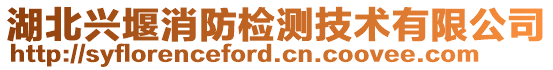 湖北兴堰消防检测技术有限公司