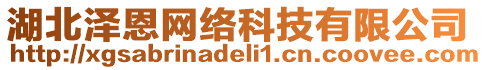 湖北澤恩網(wǎng)絡(luò)科技有限公司