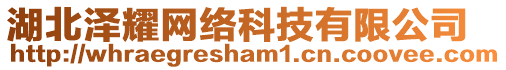 湖北澤耀網(wǎng)絡(luò)科技有限公司