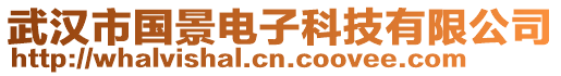 武漢市國(guó)景電子科技有限公司