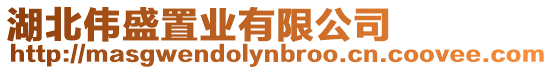 湖北偉盛置業有限公司