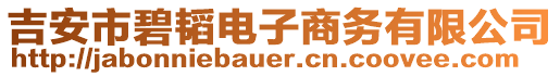 吉安市碧韜電子商務(wù)有限公司