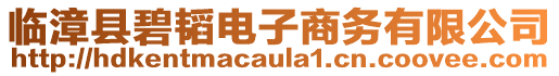 臨漳縣碧韜電子商務(wù)有限公司