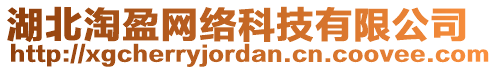 湖北淘盈網(wǎng)絡科技有限公司