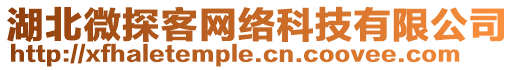 湖北微探客網(wǎng)絡(luò)科技有限公司