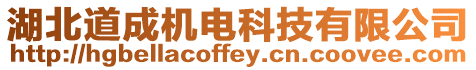 湖北道成機電科技有限公司