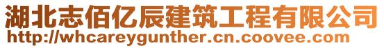 湖北志佰億辰建筑工程有限公司