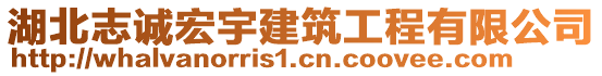 湖北志誠宏宇建筑工程有限公司