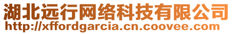 湖北遠行網(wǎng)絡(luò)科技有限公司