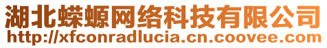 湖北蠑螈網(wǎng)絡(luò)科技有限公司