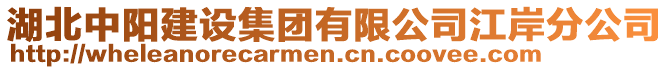 湖北中陽建設(shè)集團有限公司江岸分公司