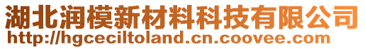 湖北潤模新材料科技有限公司