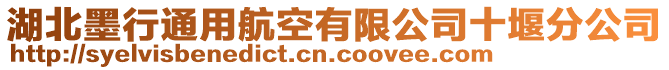 湖北墨行通用航空有限公司十堰分公司