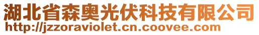 湖北省森奧光伏科技有限公司