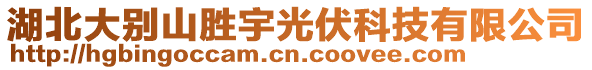 湖北大別山勝宇光伏科技有限公司