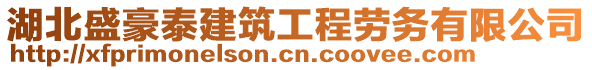 湖北盛豪泰建筑工程勞務有限公司