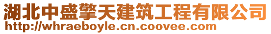 湖北中盛擎天建筑工程有限公司