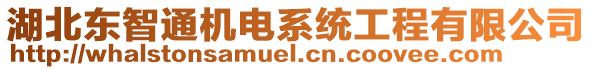 湖北東智通機(jī)電系統(tǒng)工程有限公司