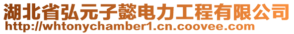 湖北省弘元子懿電力工程有限公司