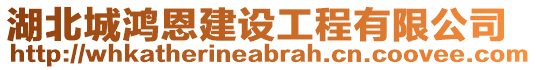 湖北城鴻恩建設工程有限公司