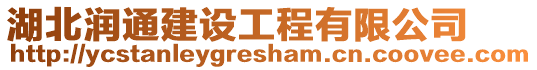 湖北潤通建設工程有限公司