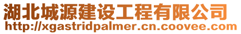 湖北城源建設工程有限公司