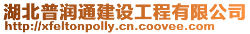 湖北普潤通建設工程有限公司