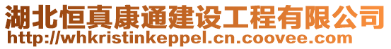湖北恒真康通建設工程有限公司