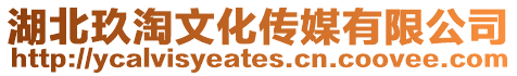 湖北玖淘文化傳媒有限公司