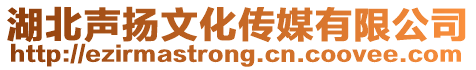 湖北声扬文化传媒有限公司