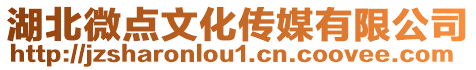 湖北微点文化传媒有限公司