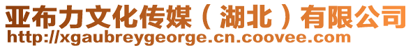 亞布力文化傳媒(湖北)有限公司