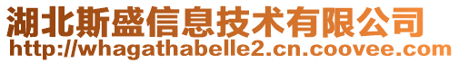 湖北斯盛信息技術有限公司