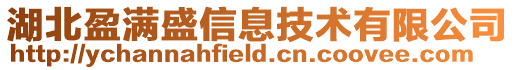 湖北盈滿盛信息技術有限公司