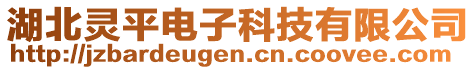 湖北靈平電子科技有限公司