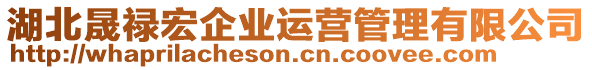 湖北晟祿宏企業(yè)運(yùn)營管理有限公司