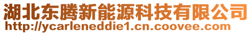 湖北東騰新能源科技有限公司