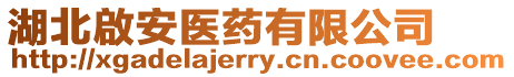 湖北啟安醫(yī)藥有限公司