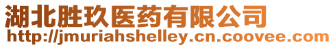 湖北勝玖醫藥有限公司