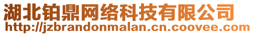 湖北鉑鼎網絡科技有限公司