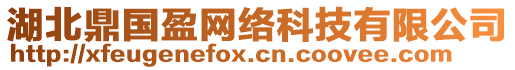 湖北鼎國盈網(wǎng)絡(luò)科技有限公司