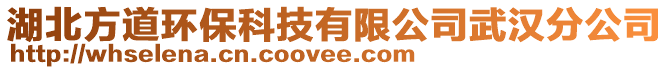 湖北方道环保科技有限公司武汉分公司