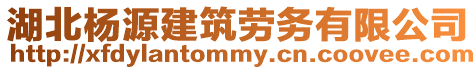 湖北楊源建筑勞務(wù)有限公司