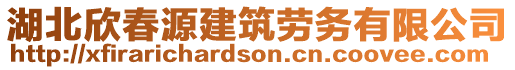 湖北欣春源建筑劳务有限公司