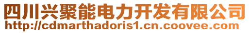 四川興聚能電力開發(fā)有限公司