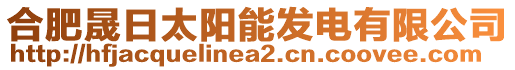 合肥晟日太陽(yáng)能發(fā)電有限公司